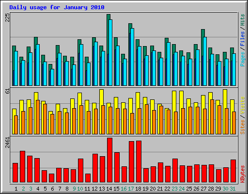 Daily usage for January 2010