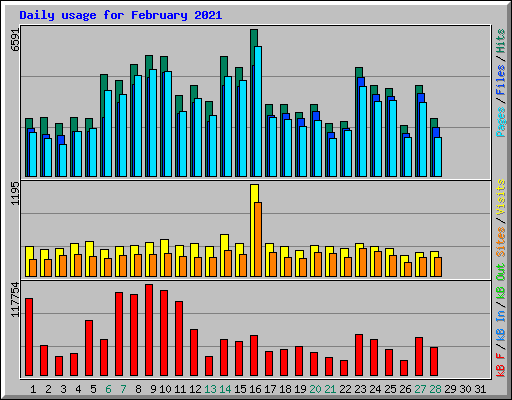 Daily usage for February 2021