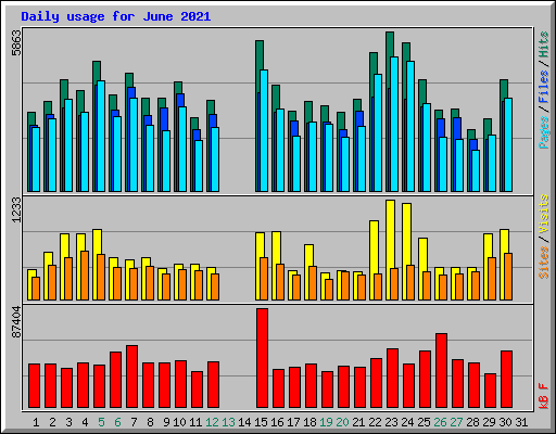 Daily usage for June 2021