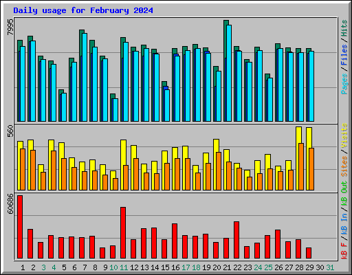 Daily usage for February 2024