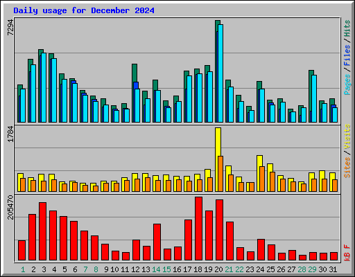 Daily usage for December 2024