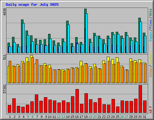 Daily usage for July 2025
