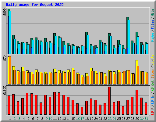Daily usage for August 2025