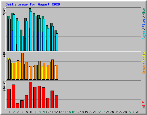 Daily usage for August 2026