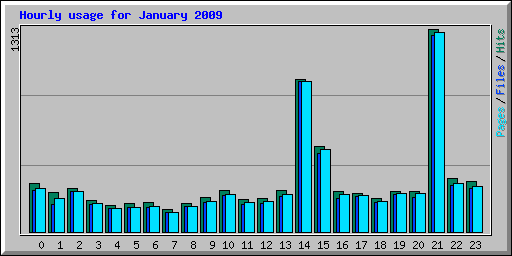 Hourly usage for January 2009