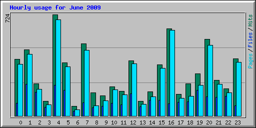 Hourly usage for June 2009