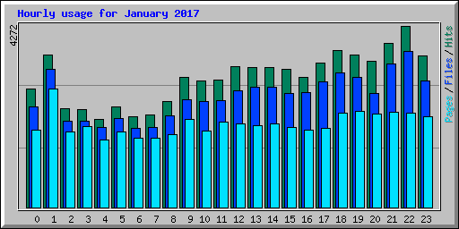 Hourly usage for January 2017