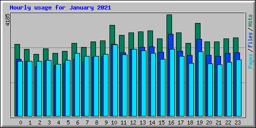 Hourly usage for January 2021