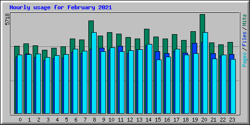 Hourly usage for February 2021