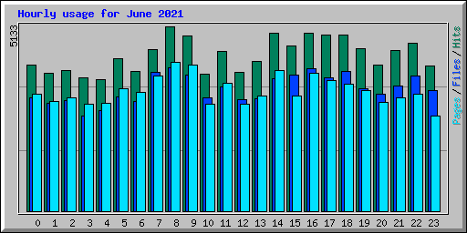 Hourly usage for June 2021