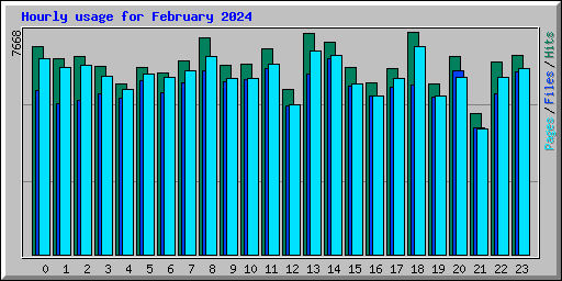 Hourly usage for February 2024
