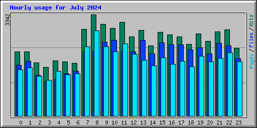 Hourly usage for July 2024