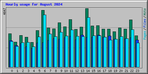 Hourly usage for August 2024