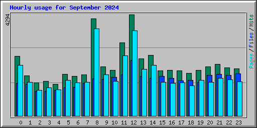 Hourly usage for September 2024