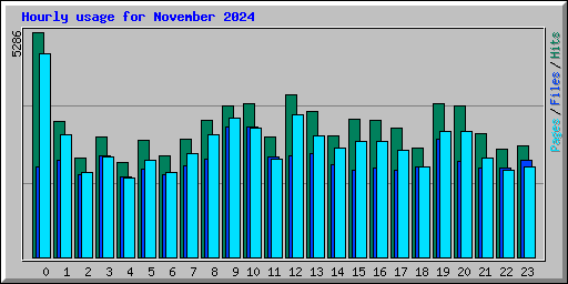 Hourly usage for November 2024