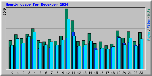 Hourly usage for December 2024