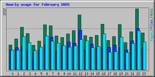 Hourly usage for February 2025
