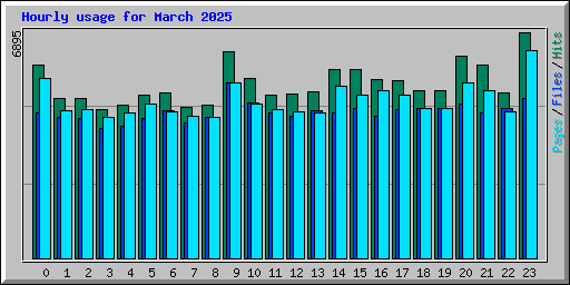 Hourly usage for March 2025