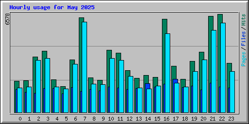 Hourly usage for May 2025
