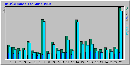 Hourly usage for June 2025