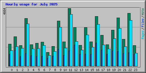 Hourly usage for July 2025