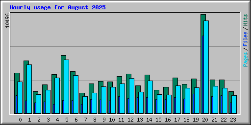 Hourly usage for August 2025
