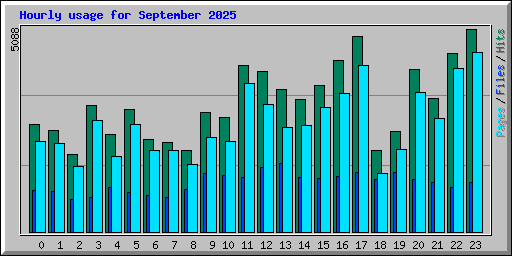 Hourly usage for September 2025