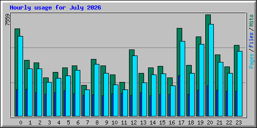 Hourly usage for July 2026